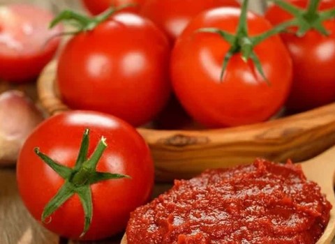 قیمت خرید رب گوجه فرنگی زر با فروش عمده